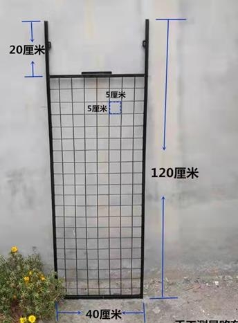 1683279894653166.jpg