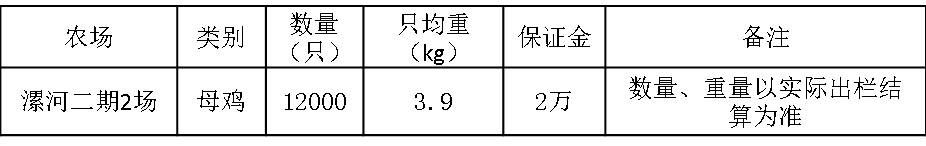 漯河二期2场.jpg