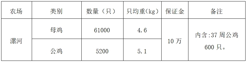 禽业事业部淘汰鸡.jpg