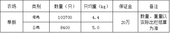 淘汰鸡.jpg