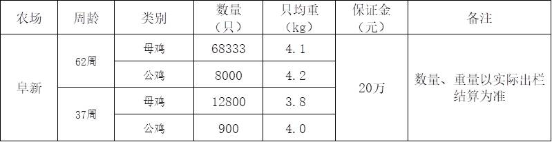 阜新双汇淘汰鸡.jpg