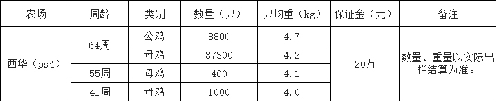 西华双汇淘汰鸡.jpg
