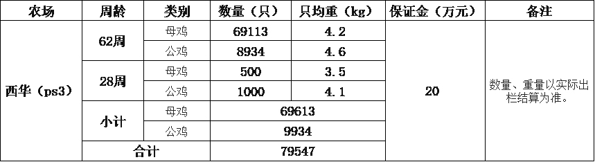 西华双汇.jpg