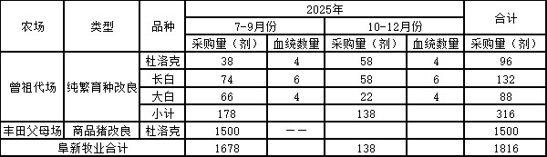 种猪.jpg