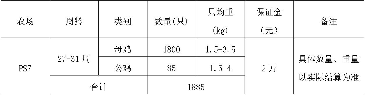 禽业事业部.jpg